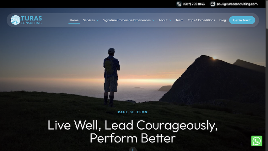 turasconsulting website