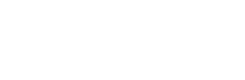 TheWebsiteDesigner.ie site logo